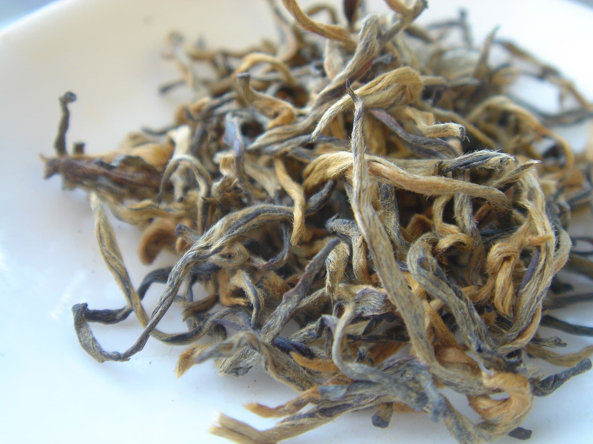 Downy pale-golden tea buds on a white dish
