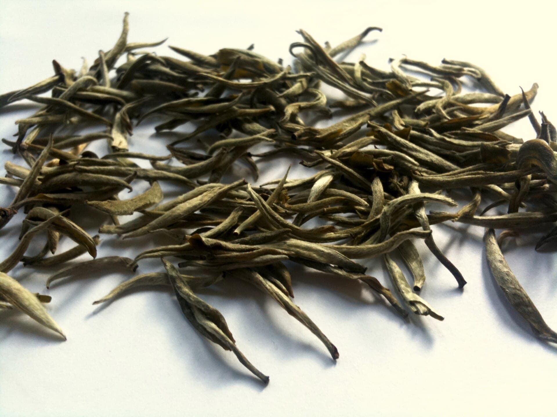 Velvety silver-white tea buds scattered on a white surface